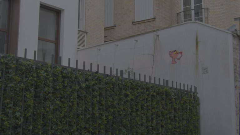 rue et panthère rose en mosaïque